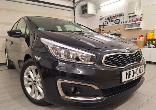 myślibórz Kia Ceed cena 44900 przebieg: 117000, rok produkcji 2017 z Myślibórz